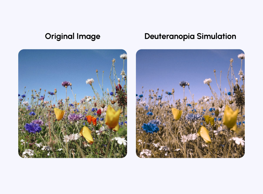 Deuteranopia color blindness example