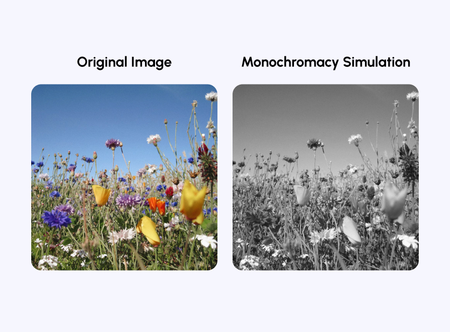 Monochromacy color blindness example